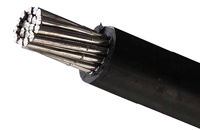 架空华球网页版