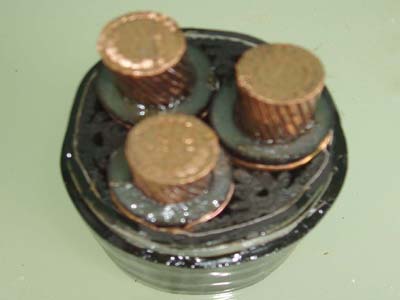 交联电力华球网页版