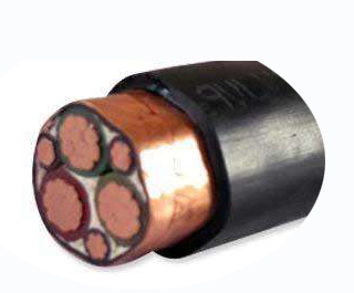 变频器专用电力华球网页版